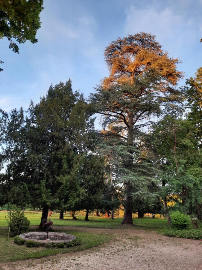 Gite De Charme A 15Mn De Bordeaux Autonomie 100% Camblanes-et-Meynac 외부 사진